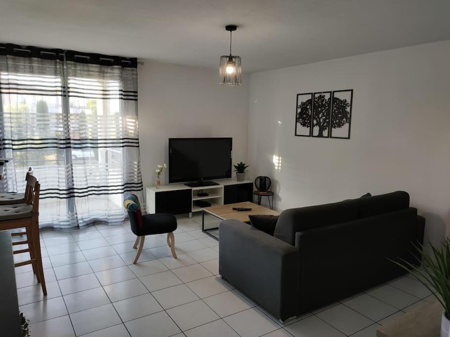 Spacieux et joli appartement de 2 à 4 personnes • Parking • Wifi Fenouillet  Extérieur photo