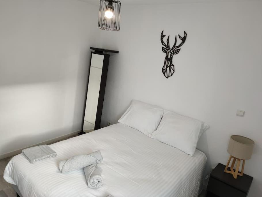 Spacieux et joli appartement de 2 à 4 personnes • Parking • Wifi Fenouillet  Extérieur photo